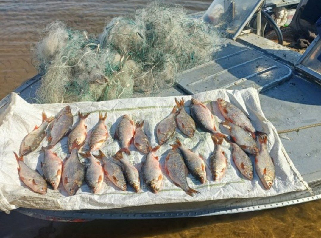 У саратовских рыбаков отобрали 27 лодок и 242 кг улова